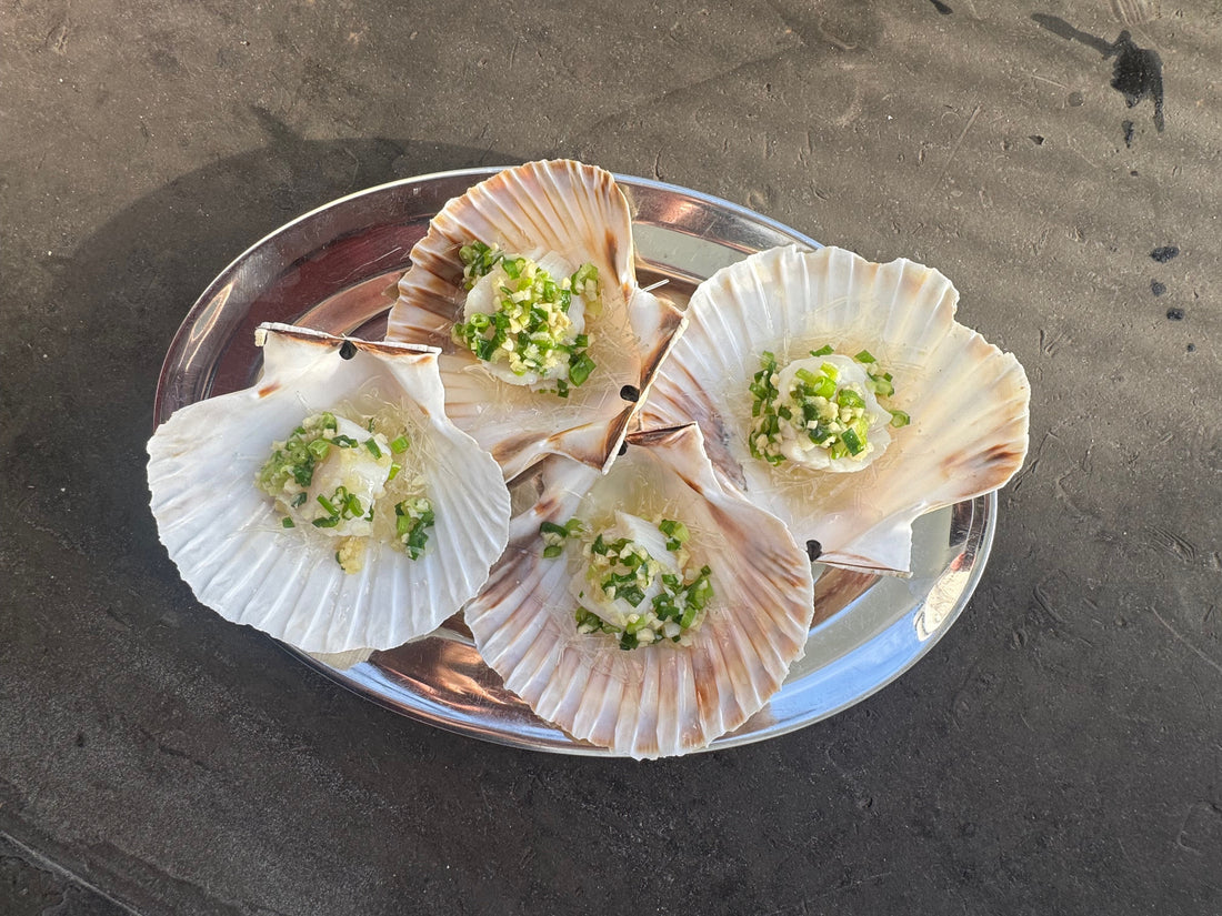 Coquilles met lente-ui en gember Phans