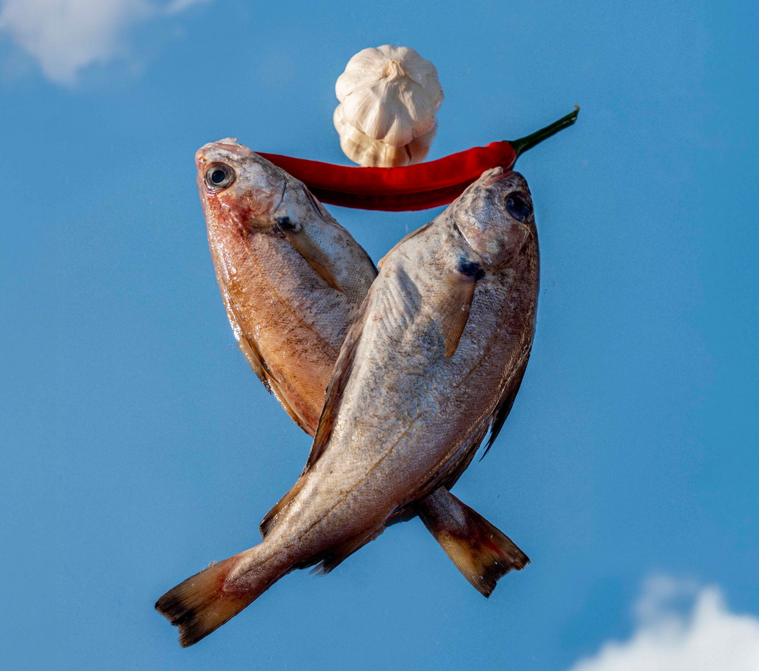 Het verhaal achter Phans