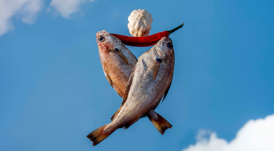 Het verhaal achter Phans